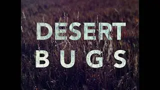 Malcolm King Fontana &mdash; Desert Bugs (Official Video)