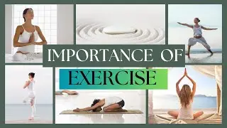 How Exercise Benefits Your Brain And Body Health | PROGRIXX Insights