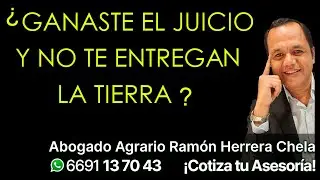 &iquest;Ganaste el juicio y NO te entregan la tierra?
