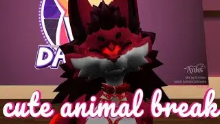 3 min break cute animals {by Woof Wolf}