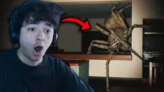 DEVASA &Ouml;R&Uuml;MCEKLERDEN NEFRET EDİYORUM. 🕷️