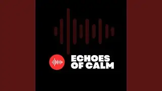 Embrace of Silence (Live)