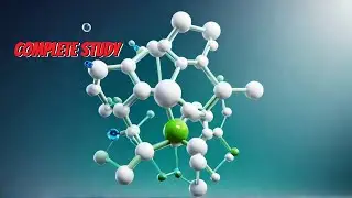 Biomolecules क्या हैं? hindi में समझें
