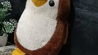 lekhni is live me penguin ko apne sath le aai guys#live#penguins#trending#aspirants#motivation#love