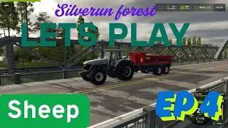 silverun forest ep 4 we get sheep.