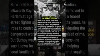 Bumpy Johnson: The Harlem Godfather