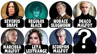 8 Slytherins Who Saved Harry Potter Explained!