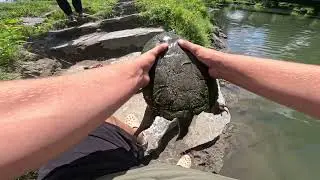 *HUGE* Snapping Turtle caught on ULTRA LIGHT!