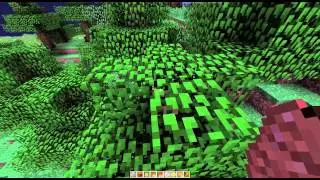 REDCUBED PUBLIC SERVER UPDATES