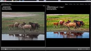 Horses near a Dugout - Photo Editing Process
