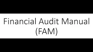 Lecture No.1: Introduction to Financial Audit Manual (FAM)