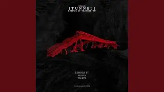 Bridge of Transition (Monix Remix)
