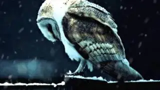 Yannis Fran&ccedil;ois - Winter, THE FAIRY QUEEN - Purcell
