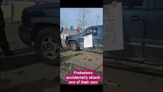 Протестующие против ICE по ошибке напали на другого протестующего против ICE.
