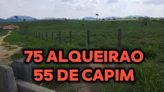 OLHA QUE FAZENDINHA BOA DE TUDO ! CONFIRAM O VÍDEO 😳 75 alqueires com 55 de capim❓😳