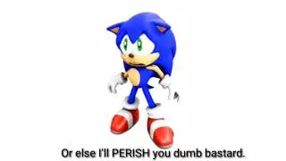 Sega please don't turn me into a race car! (MEME)