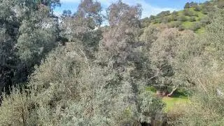 Nature kabylie 