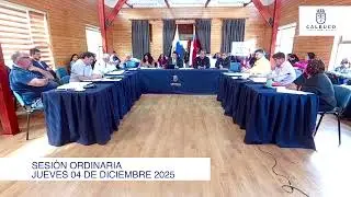Sesión ordinaria 4 de Diciembre Parte 2
