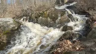 [4K] Beaver Brook Reservation, Waltham MA (2022-03-27)