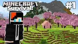 MINECRAFT SURVIVAL SERIES #1 \\ TECHNICAL GAMING \\  FIRST DAY IN MINECRAFT