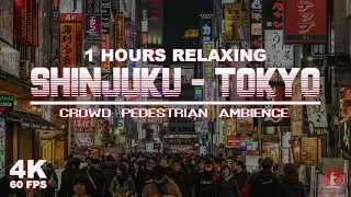 Shinjuku Tokyo at night ASMR 4K 60FPS, Crowd pedestrian ambience accompanies you until fall asleep