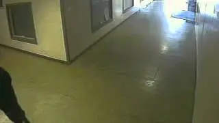 Pontiac Mall shooting
