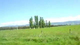 in the car1