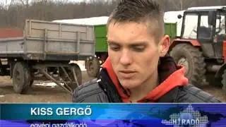 Megkezdték a Fiatal gazda pályázatok kifizetését - Kölcsey Tv