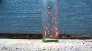 Chromium (III) Oxide and Ammonia 