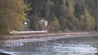 Trains at Picnic Point on April 8, 2010