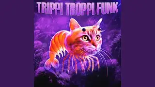 TRIPPI TROPPI FUNK