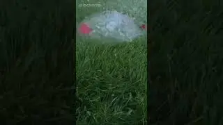 Satisfying balloon