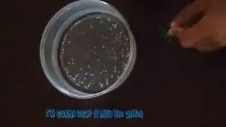 Magic!The floating paper clip | TOORTY 26|