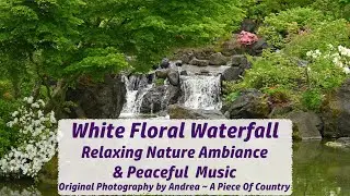 Relaxing Garden Nature & Peaceful Calming Music ~ White Floral Waterfall ~ Original Photography