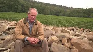 Boordy Vineyards - Wines with Soul
