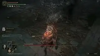 Defeat the Cemetery Shade -  catacombs  - Elden ring boss fight - Ombra cimiteriale