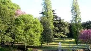 Appartamento in Vendita, Via Pinciana - Roma - Flaminio - Parioli - Pinciano