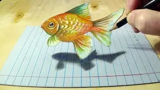 Goldfish illusion - Drawing a 3D fish on line paper - Trick Art by Vamos