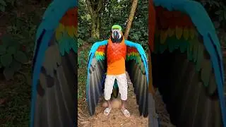 Pranto Touched the Magic Clock and Turned Into a Giant Parrot! 🦜✨😰😱