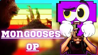 Are Mongooses OP? REACTION @TierZoo