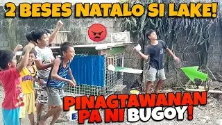 BATANG FANCIER NA 2 BESES NATALO SA KARERA! SABLAY SA TRAPPING KALAPATI NYA!