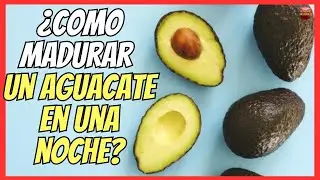 🥑 ¿CÓMO MADURAR UN AGUACATE EN UNA NOCHE? 🥑