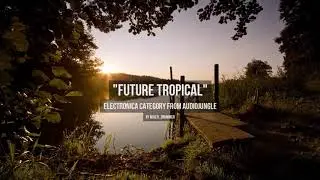 Future Tropical - Music from Audiojungle