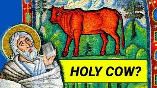 Red Heifer sacrifice was NOT real! Temple Institute BOMBSHELL update