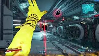 Borderlands 3 Slaughter house 3000 Solo Flawless rounds