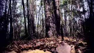 Teaser- Buried in Blue