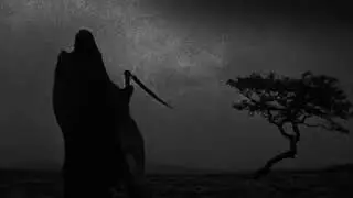 W&Uuml;RMFEED - WORSHIP THE VOID