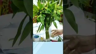 flower stick #shorts #ytshorts #moveforward #flowers #flowertree #youtubeshorts