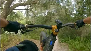 Spider Berm - Balm Boyette Scrub Preserve Mtb