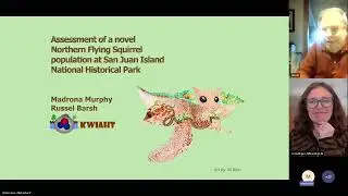 A genetically distinct native northern flying squirrel population in San Juan Island NHP